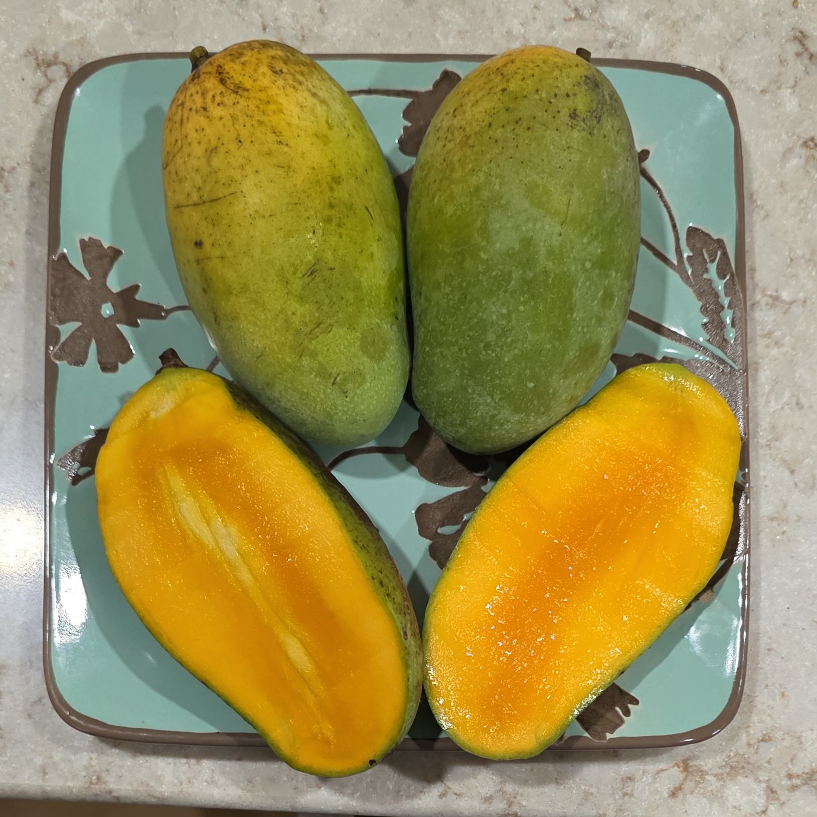 Fruit Variety Picture